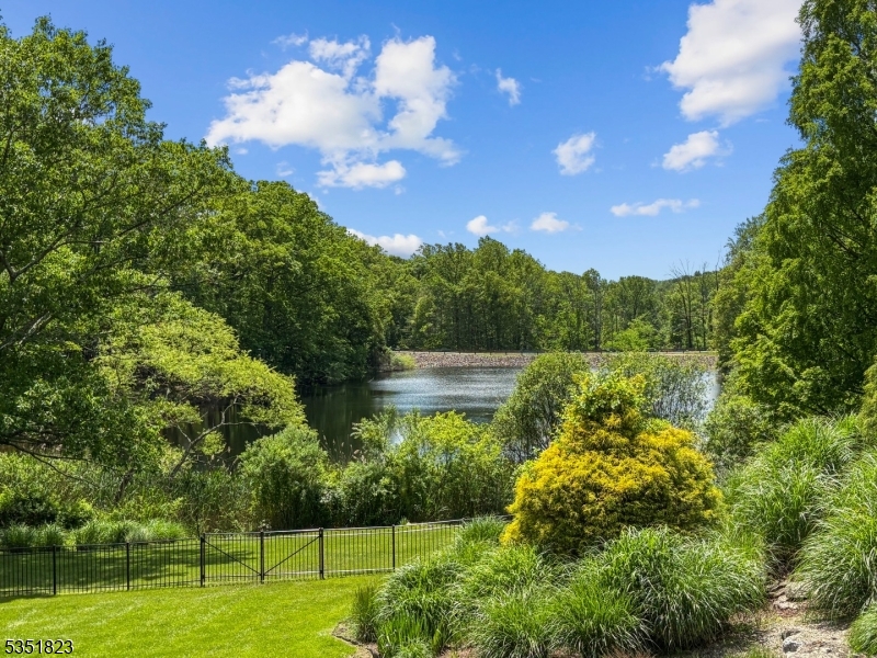 The Pond - Residential