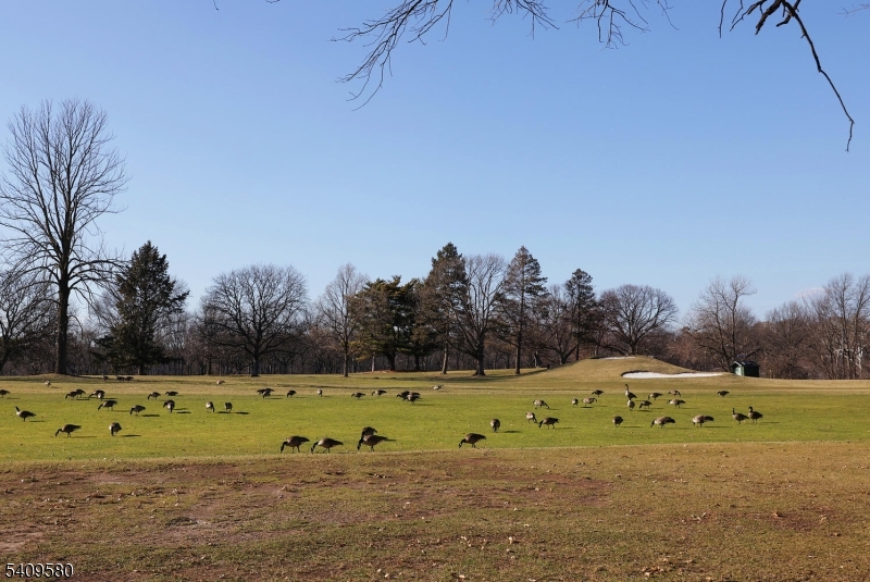 Six Family South Newark - Commercial Sale