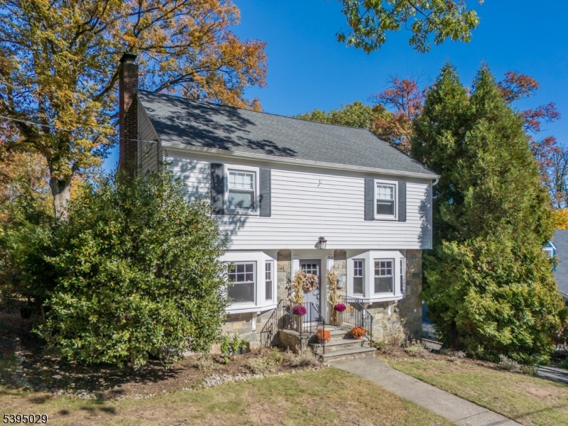 Forest Avenue - Residential