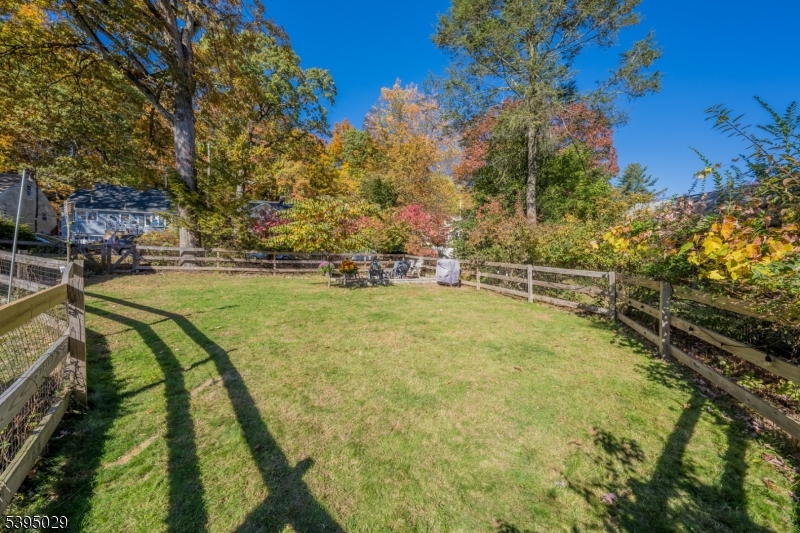 Forest Avenue - Residential