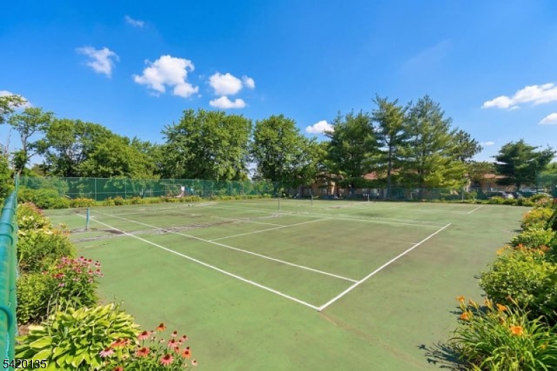 Alexandria at Hillsborough - Residential