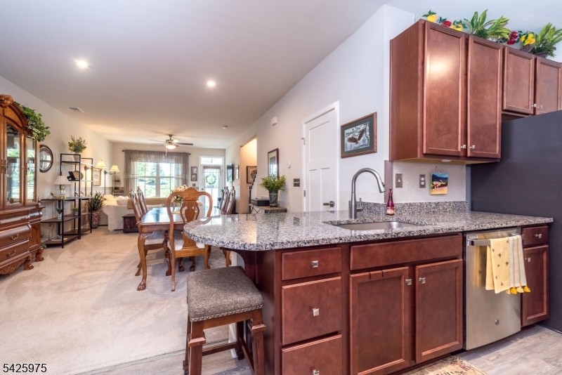 Village at Hawke pointe - Residential