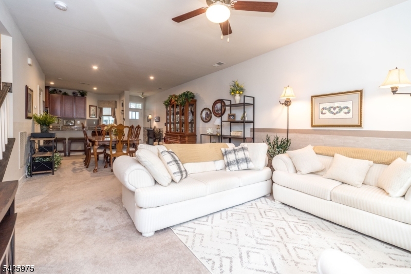 Village at Hawke pointe - Residential