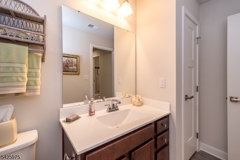 Village at Hawke pointe - Residential