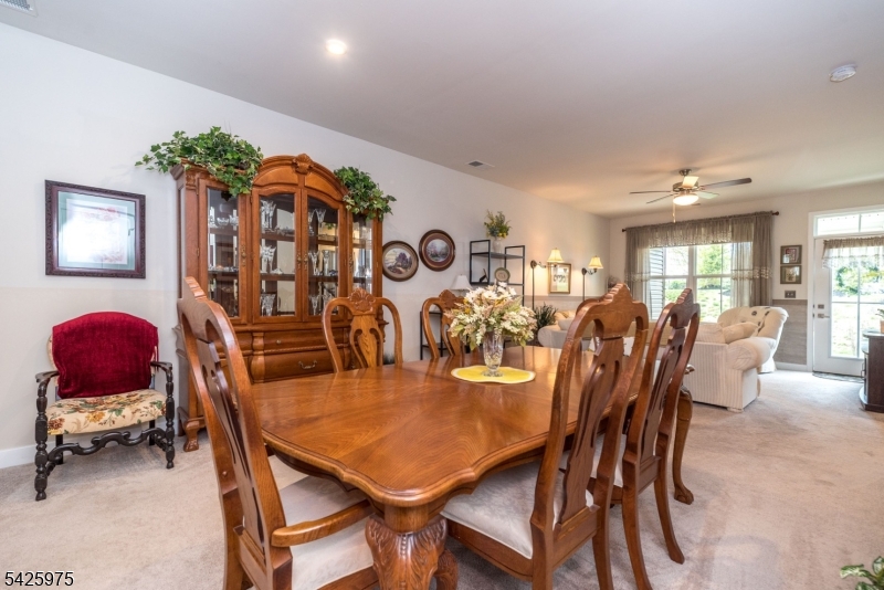 Village at Hawke pointe - Residential