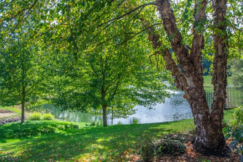 ROSEVALLE - Residential