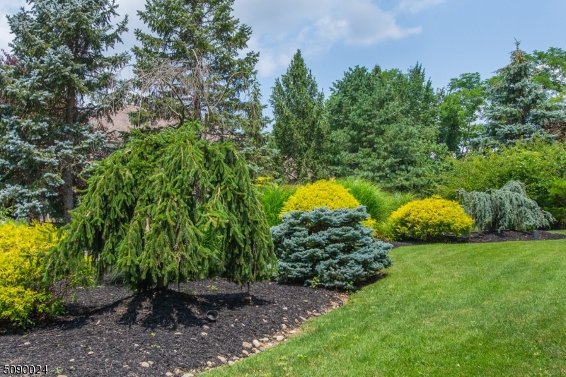 CHESTNUT HILL - Residential