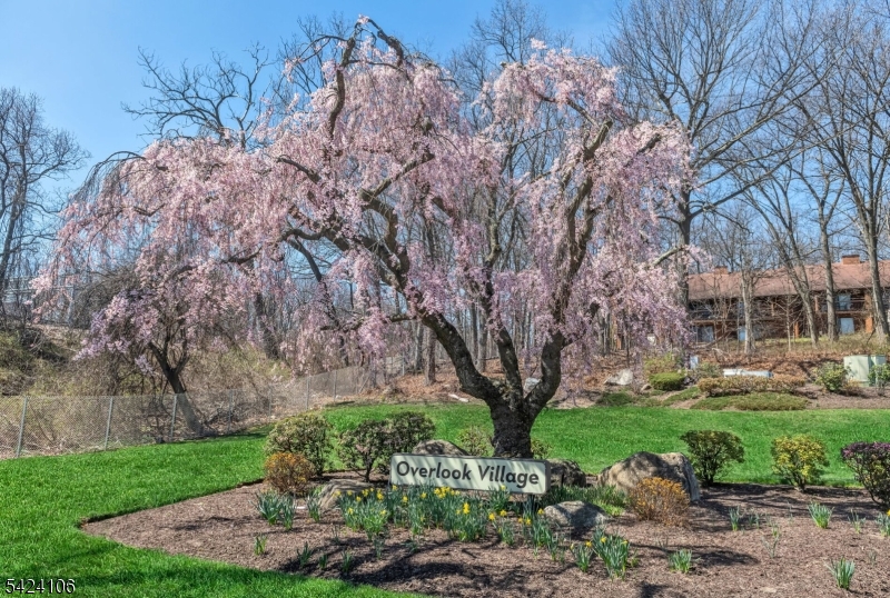 OVERLOOK VILLAGE - Residential