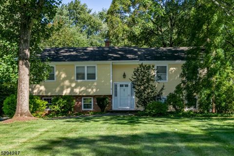 33 Courter St, Bernards Twp., NJ 07920 - #: 3908873