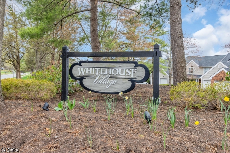 Whitehouse Village - Residential