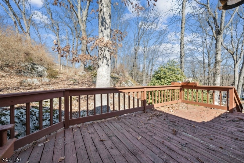 Lake Saginaw - Residential