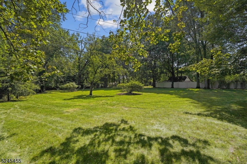 Montrose - Residential