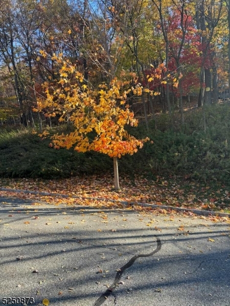 Photo 6 of 7 of 20 Quarry Mountain Ln land