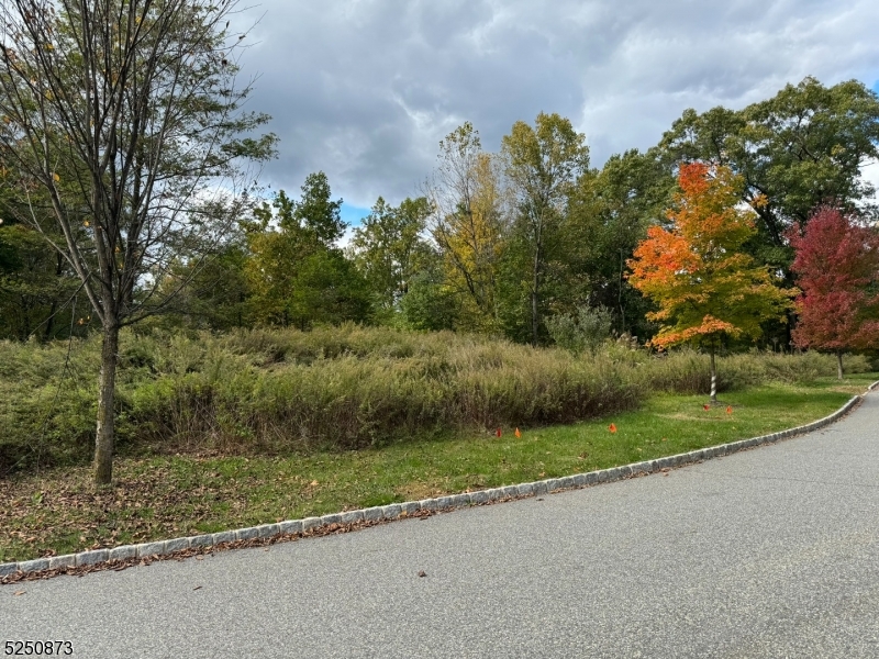 Photo 2 of 7 of 20 Quarry Mountain Ln land