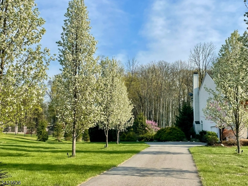 Andover Ridge - Residential