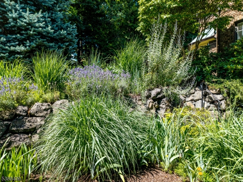 Kips Ridge - Residential