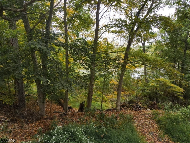 Seneca Lake - Land