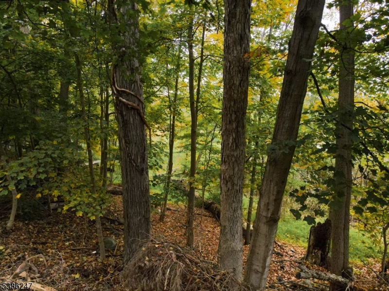 Seneca Lake - Land
