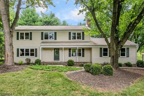 6 Betsy Ross Ct, Montgomery Twp., NJ 08558 - MLS#: 3911849