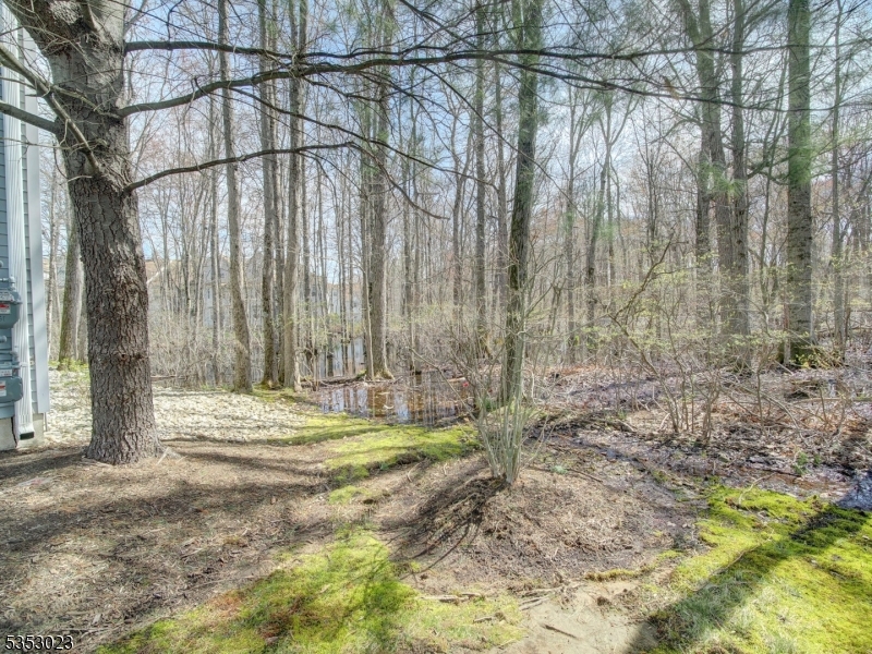 Willow Walk - Residential