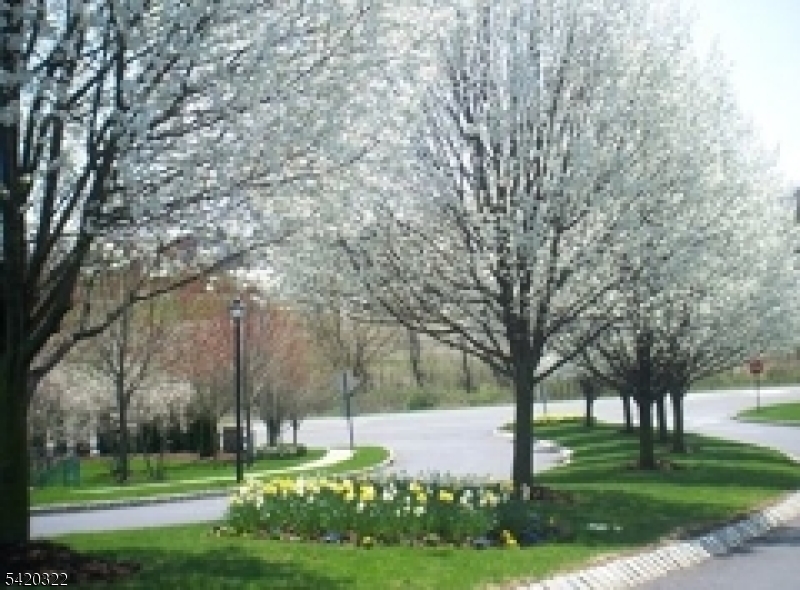 OVERLOOK - Residential