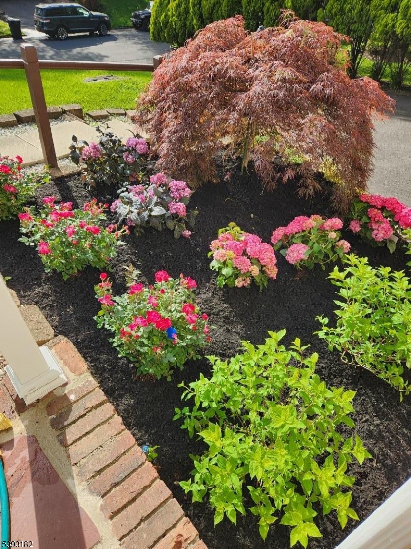 Indian Forest - Residential