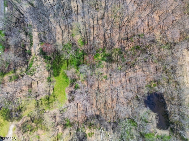 GREEN VILLAGE - Residential