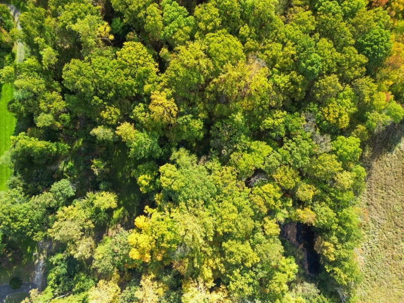 GREEN VILLAGE - Residential