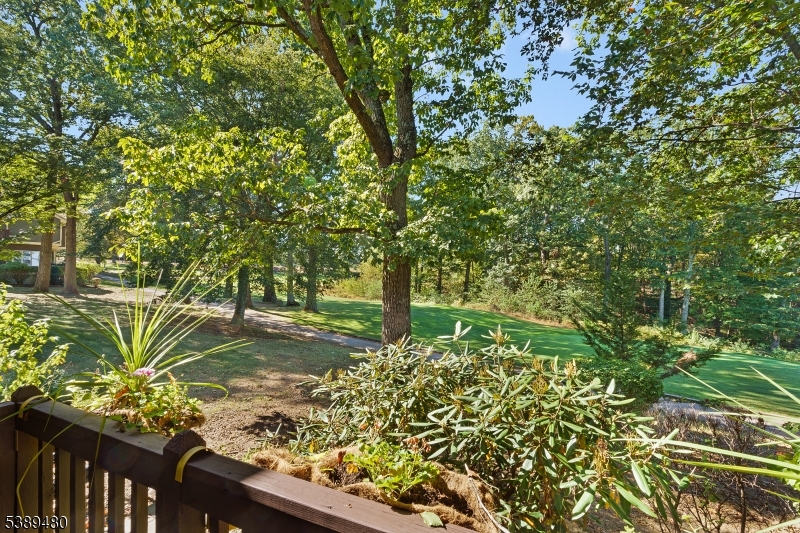 Beaver Brook - Residential