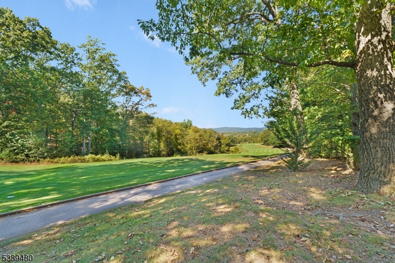 Beaver Brook - Residential