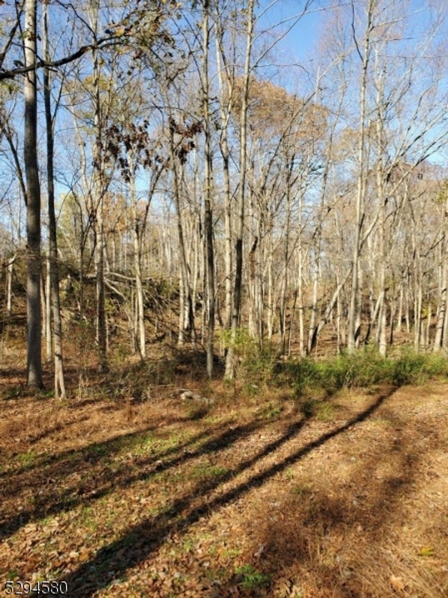 Great potential for prepper paradise, estate, retreat and solar possibilities. Purchaser responsible for rollback in taxes. Sold as one parcel only. Future subdivision is purchaser responsibility.