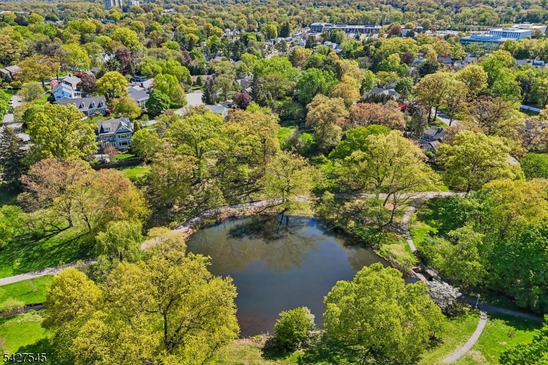 Upper Montclair - Residential