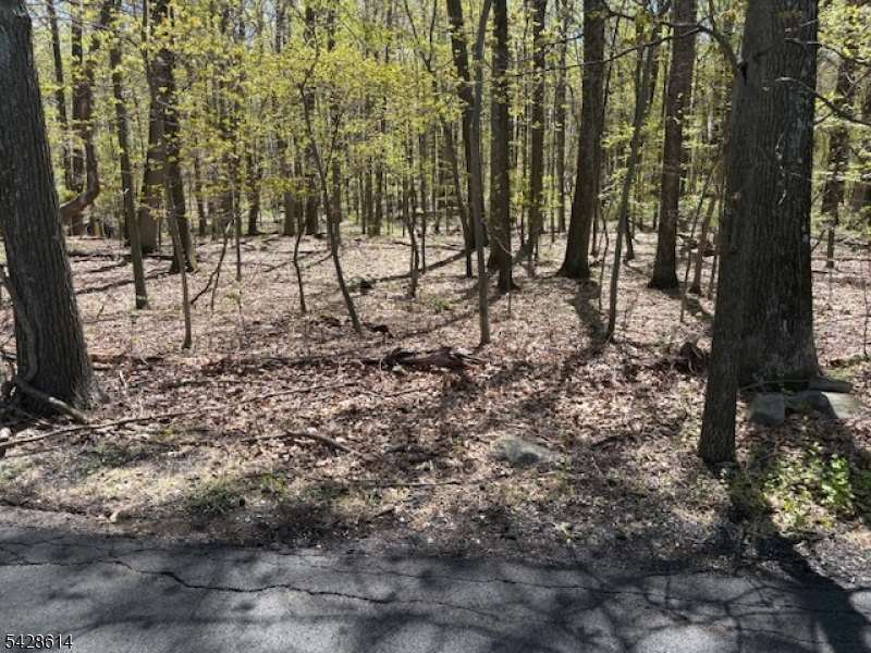 Quenby Mountain - Land