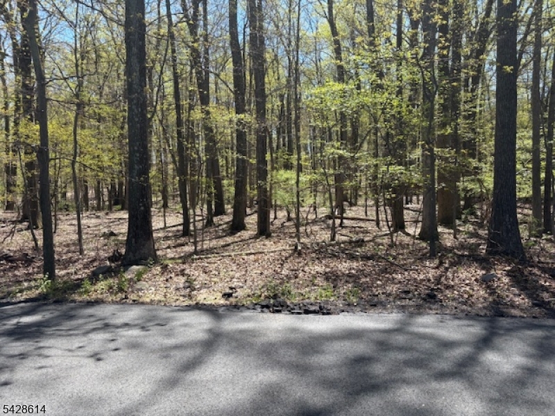 Quenby Mountain - Land