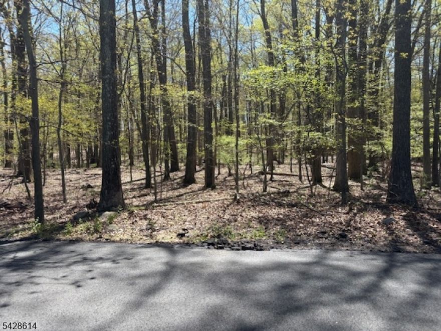 Beautiful heavily wooded lot in neighborhood of newer and older well kept homes. Property is level and rises gently to the rear.