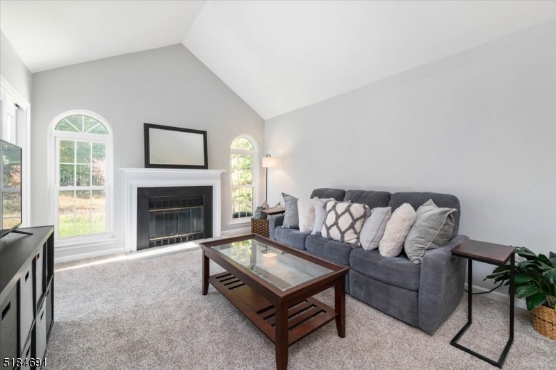 Olde Town - Residential