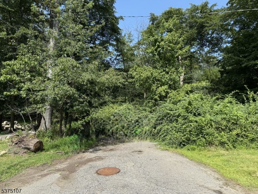 An opportunity to own a beautiful lot spanning 0.38 acres of prime real estate. Close by is one of NJ's Largest lake. The Vacant lot presents multiple possibilities for creating your Dream Home or Investment property. With its generous size and favorable dimensions, this property is a blank canvas awaiting your creative vision. Do not miss the chance to secure this lot, and bring your architectural dreams to life. Buyer responsible for access and egress to existing road, Call town for your inquires.