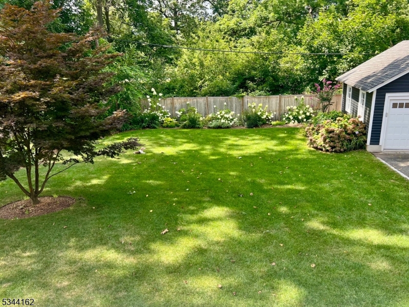 Walnut Street - Residential