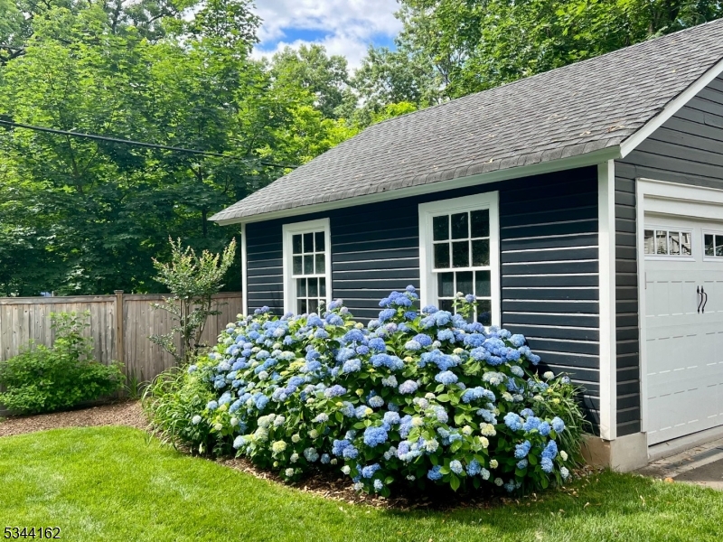 Walnut Street - Residential