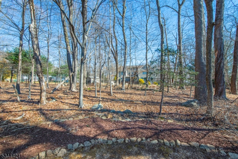 Shongum Lake - Residential