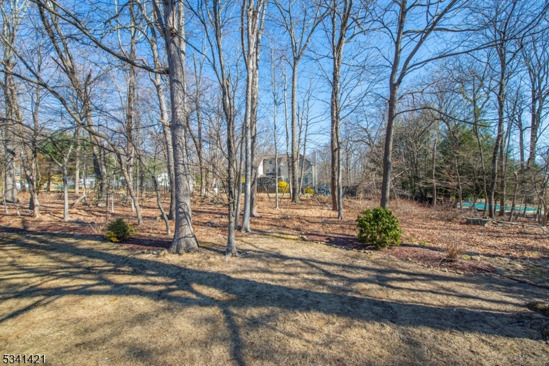 Shongum Lake - Residential