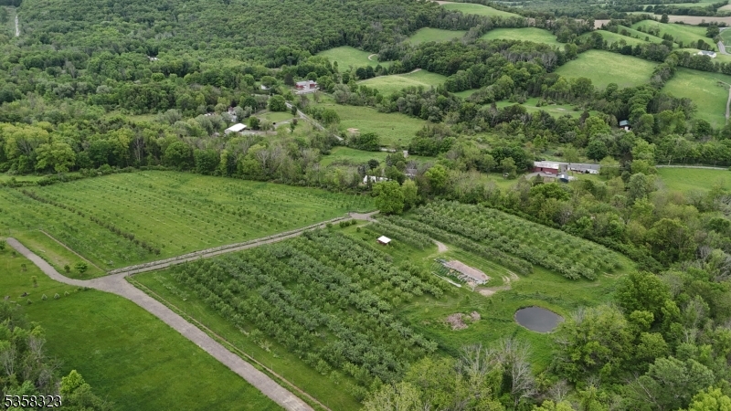 Organic Apple Orchard - Residential