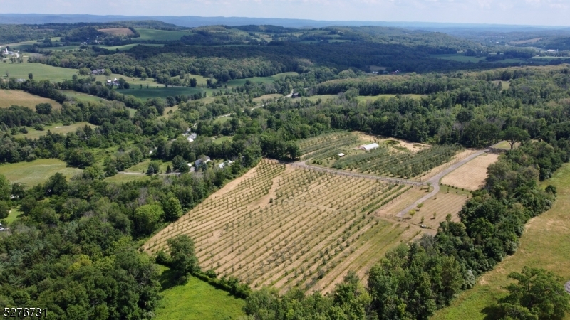 Organic Apple Orchard - Residential
