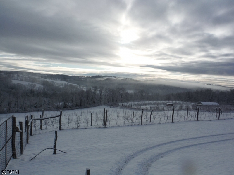 Organic Apple Orchard - Residential