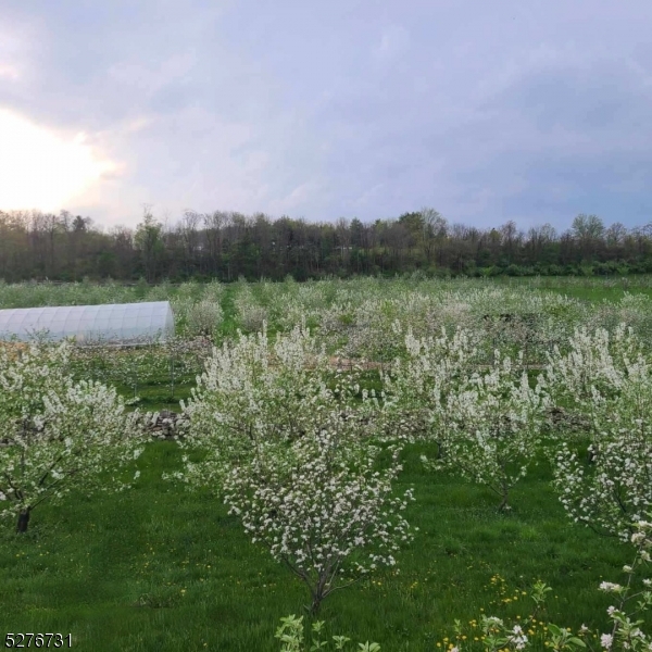 Organic Apple Orchard - Residential