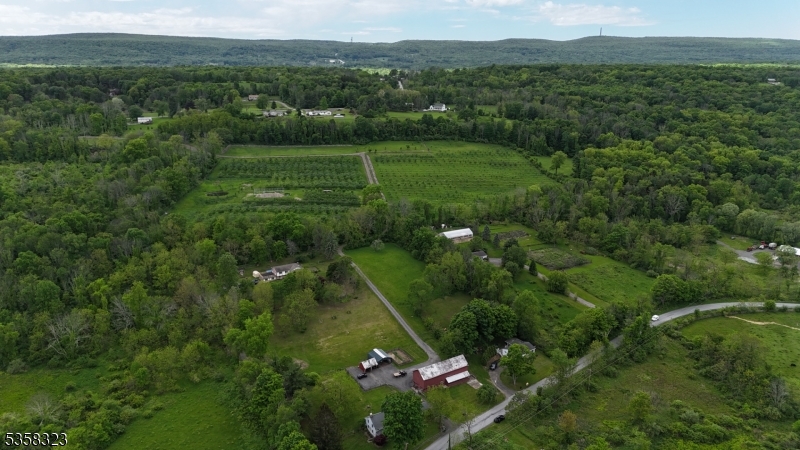 Organic Apple Orchard - Residential