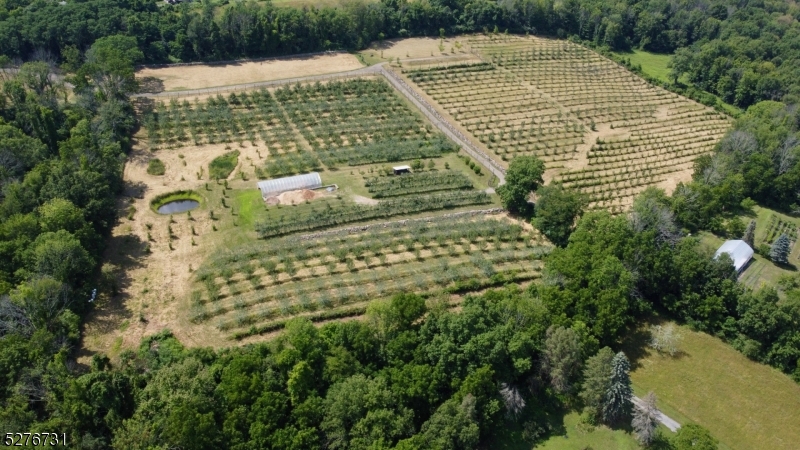 Organic Apple Orchard - Residential