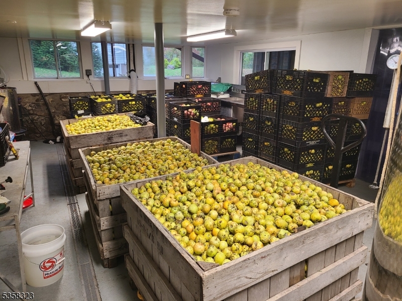 Organic Apple Orchard - Residential