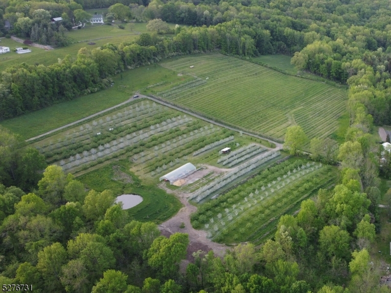 Organic Apple Orchard - Residential