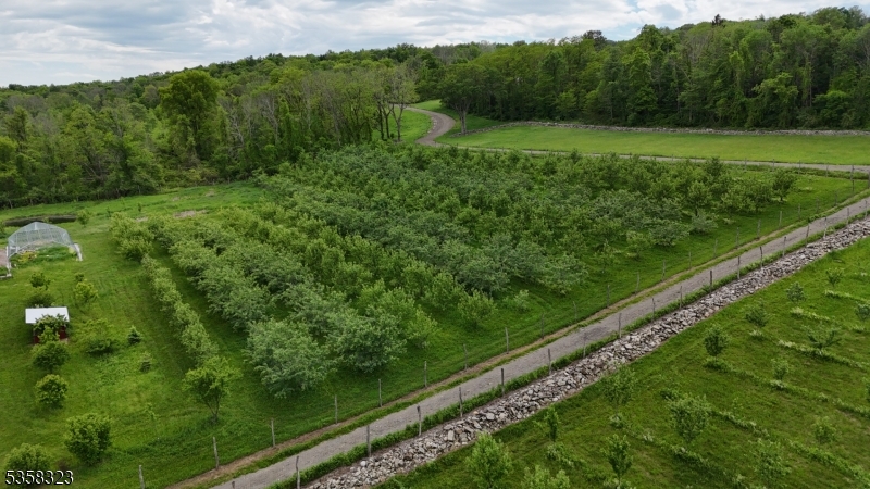 Organic Apple Orchard - Residential